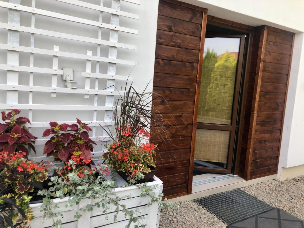 Apartament Studio I Apartament Zadomek Spytkowice Kolo Zatora Ngoại thất bức ảnh